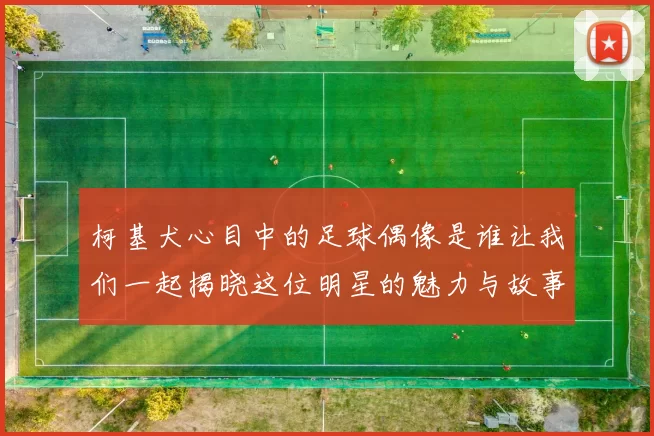 柯基犬心目中的足球偶像是谁让我们一起揭晓这位明星的魅力与故事