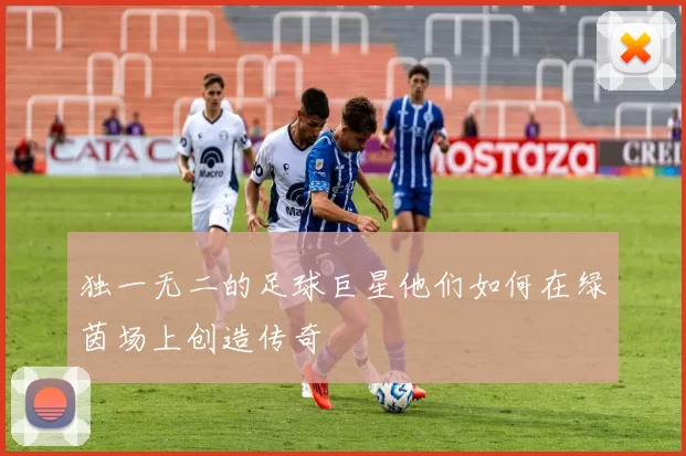 独一无二的足球巨星他们如何在绿茵场上创造传奇