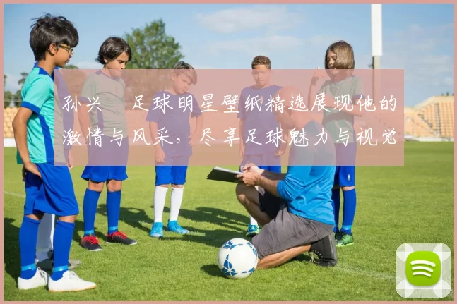 孙兴慜足球明星壁纸精选展现他的激情与风采，尽享足球魅力与视觉盛宴