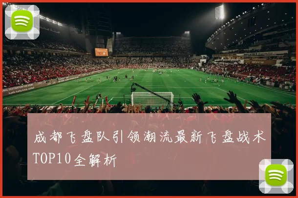 成都飞盘队引领潮流最新飞盘战术TOP10全解析