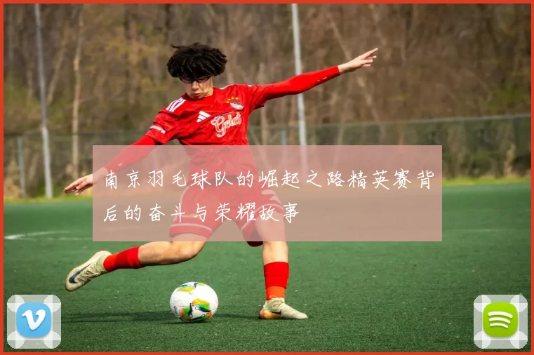 南京羽毛球队的崛起之路精英赛背后的奋斗与荣耀故事